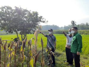 Pemkab Pringsewu Hibahkan Tanah 3 Hektare kepada Kemenag