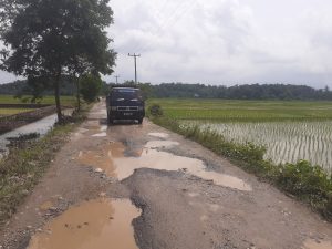 Warga Ambarawa Pringsewu Keluhkan Jalan Rusak di Kerawangsari