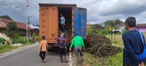 Jual Buah Aren, Imron Raup Untung Ratusan Juta