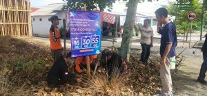 Camat Blambangan Umpu Copot Alat Peraga di Pohon