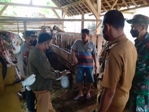 Dinas Pertanian Pringsewu Pastikan Stok Hewan untuk Kurban Aman