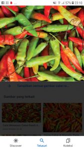 Idul Adha, harga Cabe di Mesuji Tembus 150 Ribu/Kg