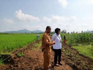 Kejari Pringsewu Berikan Pendampingan Hukum PKTD