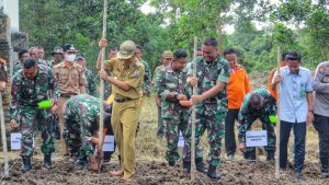 Kodim 0427/Way Kanan Tanam Jagung di Lahan Tidur 17 Hektare