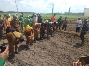 Dandim 0411/Kota Metro Tanam Jagung di Restu Buana