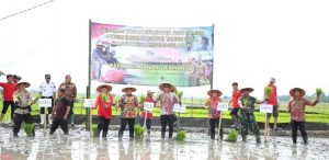 Pemkab Lamsel Terus Genjot Sektor Pertanian
