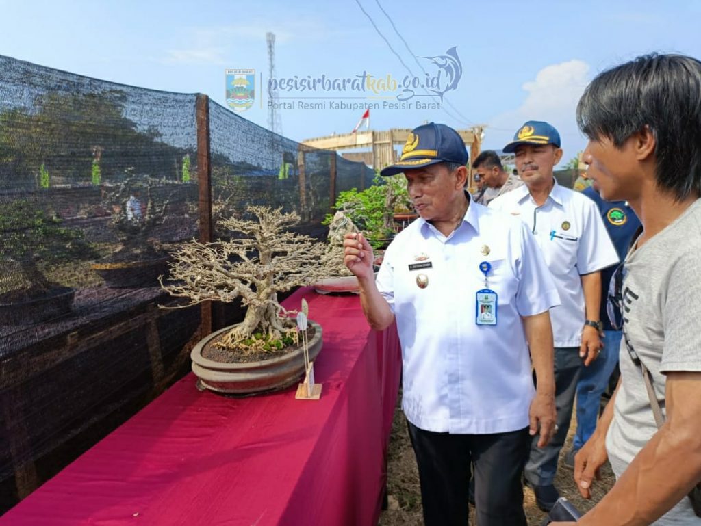 Kontes dan Pameran Bonsai di Kabupaten Pesisir Barat. (foto: Diskominfo)