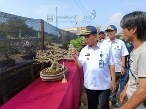 Wabup Pesibar Hadiri Pameran Bonsai Tingkat Nasional