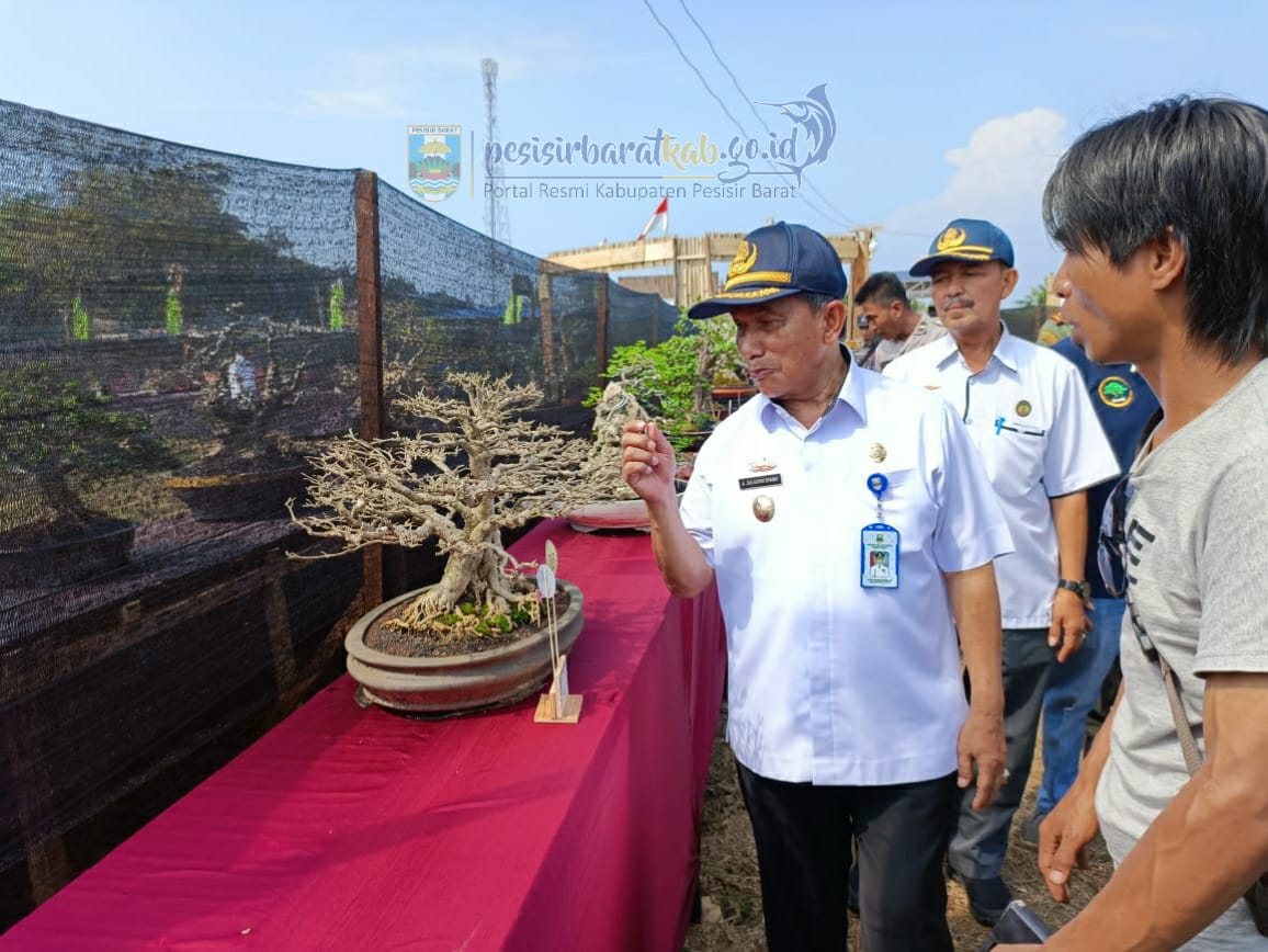 Kontes dan Pameran Bonsai di Kabupaten Pesisir Barat. (foto: Diskominfo)