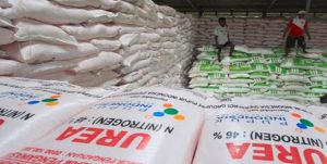 Anggota DPRD Tubaba Minta Permentan No: 10/2022 Dievaluasi
