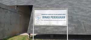 Proyek Dinas Perikanan Tubaba Tahun 2021 Diduga Bermasalah, Ini Rinciannya