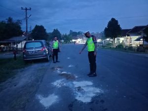 Berikut Nama 5 Korban Kecelakaan di Jalan Raya Tiyuh Tirta Makmur