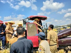 Sulpakar Panen Raya Padi di Rawa Jitu Utara