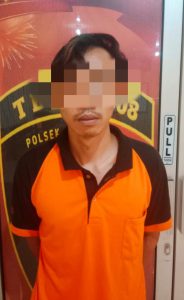 Diduga Cabuli Anak di Bawah Umur, Petani Ditangkap Polsek Padangratu