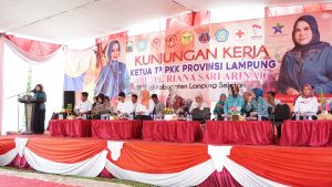 TP-PKK Lampung Kunker ke Lampung Selatan