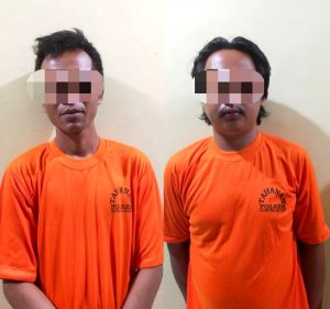Dua dari Tiga Pelaku Pencurian Tandan Buah Sawit Diamankan Polsek Gunungsugih