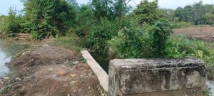 Rehabilitasi Drainase Tiyuh Menggala Mas Diduga Bermasalah, Ini Penjelasan Camat Tulangbawang Tengah