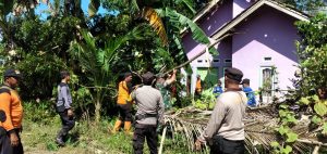 Personel Gabungan Polres Pringsewu Gotong Royong Bantu Warga Terdampak Puting Beliung