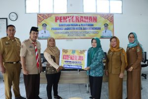 Mardiana : Bantuan Alsinta Sebagai Stimulan Mewujudkan Usaha FKWT, IKM, KUBE dan TP-PKK