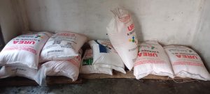 Seorang Pria di Tubaba Diduga Edarkan Pupuk Bersubsidi Tanpa Izin