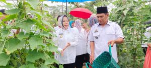 Tinjau K3+1W di Gunung Katun Tanjungan, Zaidrina : Berpeluang Ekonomi untuk Masyarakat