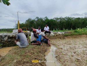 PUPR Mesuji Luncurkan Inovda Tingkatkan Produksi Padi Petani