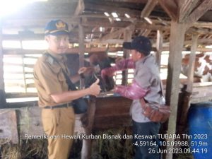 Jelang Idul Adha, Disnakeswan Tubaba Lakukan Pemeriksaan Antemortem