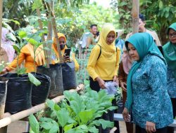 Bupati Lamteng Harap Kaum Perempuan Berpartisipasi Dalam Pembangunan