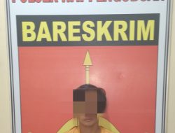Diduga Curi Motor Revo Seorang Buruh di Cokok Tekab 308 Polsek Way Pengubuan