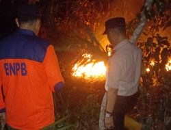 Dampak Elnino Mesuji Terus di Kepung Kebakaran 