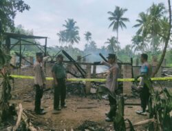 Peternakan Ayam Potong di Sukoharjo Pringsewu terbakar, Korban Rugi Ratusan Juta