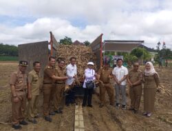 Pemkab Mesuji Bersama PT. UJA Panen Perdana Singkong Program CSV