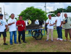 Pameran Bonsai Bertaraf Nasional Digelar di Tubaba