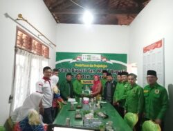 PPP Beri Sinyal Untuk Nanda Indira