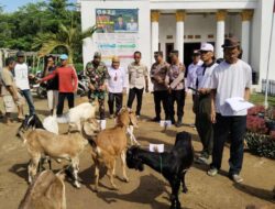 Sukseskan K3W, Tiyuh Karta Raya Bagikan 31 Ribu Bibit Ikan dan Kambing