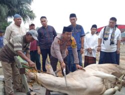 Polres Lampung Tengah Sembelih 12 Sapi dan 4 Ekor Kambing