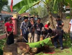 Momentum Idul Adha, Endro Ajak Kader PDI-P Semangat Berkurban Untuk Masyarakat