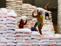 Bantuan Cadangan Beras Periode Agustus 2024 di Mesuji Capai 201.600 Kg