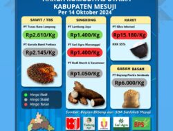 Harga Komoditas Hasil pertanian di Mesuji, Gabah tembus 6 Ribu/Kg