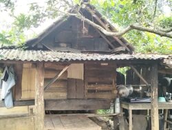 Miris, Bekas Kandang Kambing Jadi Hunian Pasutri