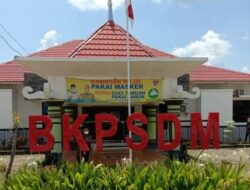 Anak Mantan Bupati, Kepala BKPSDM Mesuji Mundur Dari Jabatannya