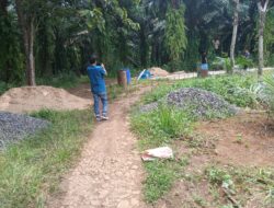 Oknum Kades Suka Maju Disinyalir Selewengkan Dana Pembangunan Rabat Beton