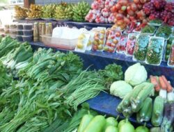 Lima Ramadhan, Harga Bawang Merah dan Kentang di Gedong Tataan Alami Kenaikan