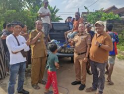 Pemkab Mesuji Terima Hibah Seekor Buaya untuk Taman Kehati
