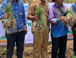 Ketahanan Pangan, Dalam Waktu Dekat Pemdes Sukadadi Bakal Tanam Bawang Merah Perdana