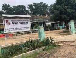 I Made Wiratama, Kios Penjual Pupuk Subsidi Harus Jual Sesuai HET