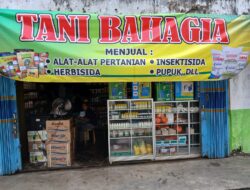 Fenomena Harga Pupuk Subsidi di Kelompok Tani Lampung Utara