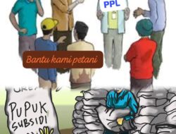 Minimnya Sosialisasi PPL, Kelompok Tani Tak Paham RDKK dan HET Pupuk Subsidi