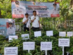 Bupati Anyar, Bagikan 700 Bibit Alpukat Aligator Gratis untuk Masyarakat