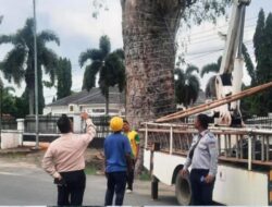 Tebang Pohon Mati di Sepanjang Jalan Respon Cepat Kadis DLH Tindak Lanjut Arahan Bupati Menuju Lampung Tengah Bersih dan Aman